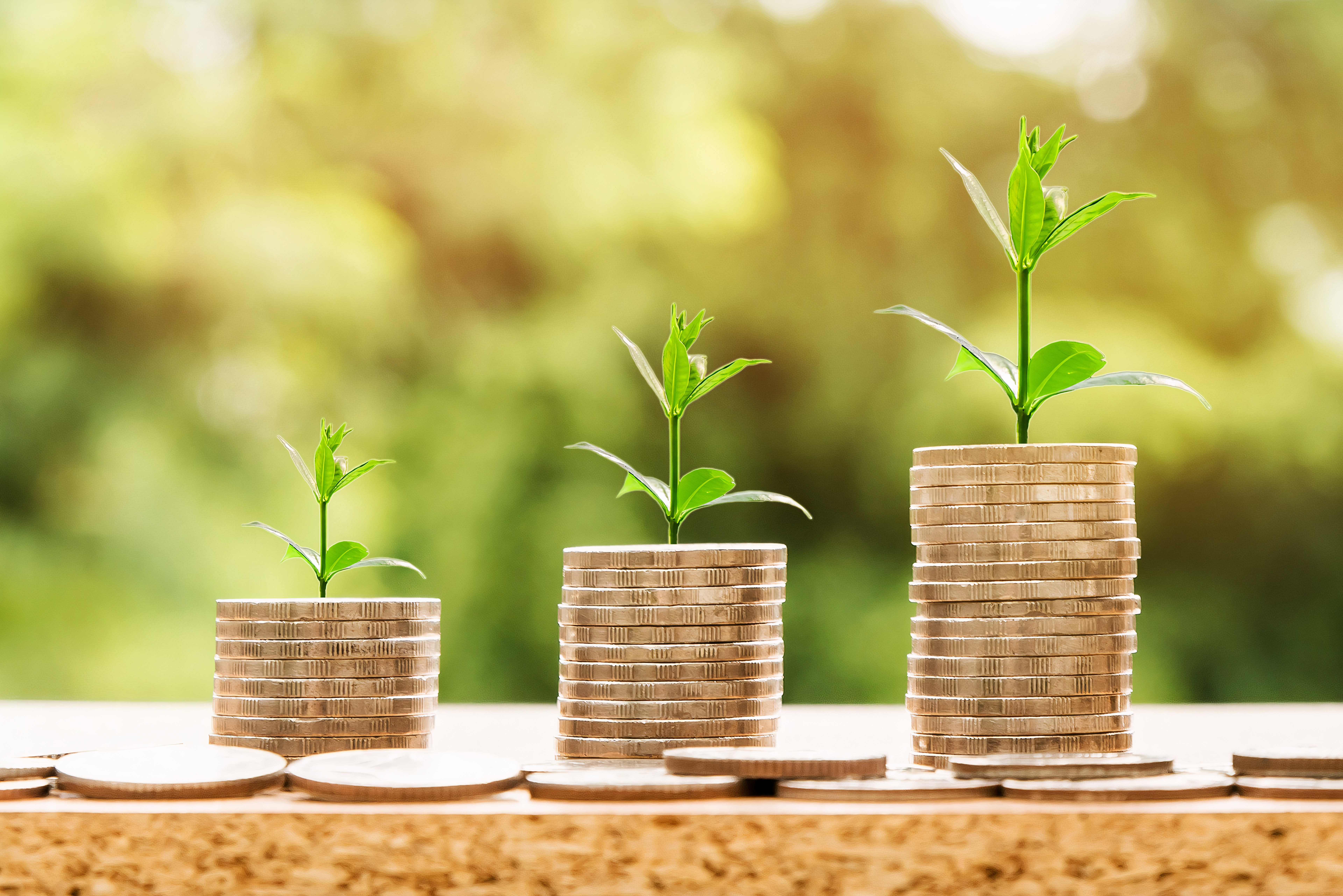 Economic Growth